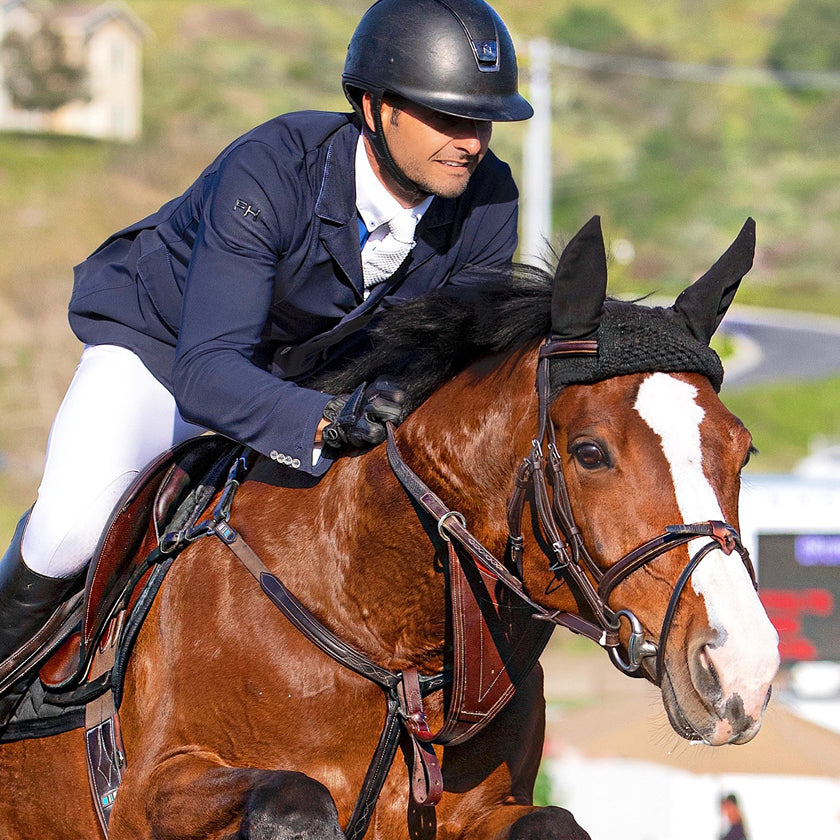 Equestrian Wear For Horses Online Shop